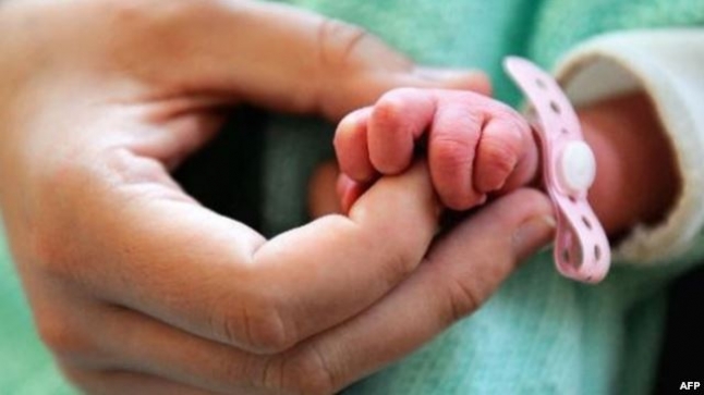 Numri i lindjeve ne renie me 18 perqind. Gjirokastra dhe Vlora vazhdojne tkurrjen